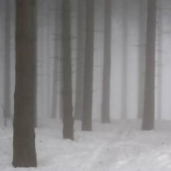 jovan - smokethrax (prod. yungsouljah x cprcash) (chris finesse exclusives + new age music + dj brief)