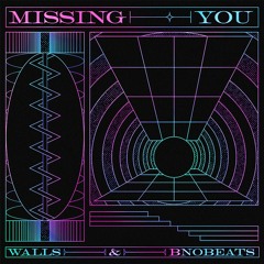 Missing You (ft. Walls)