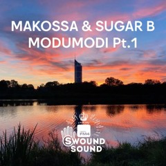 FM4 Swound Sound #1316