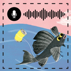 Audio Livro Amiga Lata, Amigo Rio - 1ª Infancia