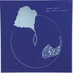 OM64 - Samara Lubelski - 'Partial Infinite Sequence' [excerpt]