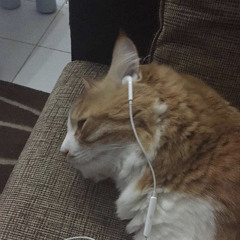 Бьянка - Ногами руками 𝘴𝘭𝘰𝘸𝘦𝘥