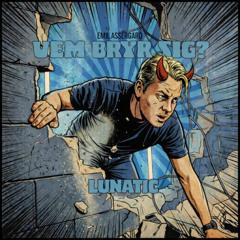 Emil Assergård - VEM BRYR SIG? (Middsnärt Remix)