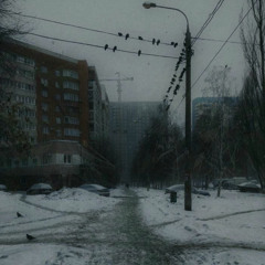 The Birds Are Cold (Today)