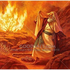 رؤيا موسى في العليقة من المقالة الأولي جلافيرا سفر الخروج