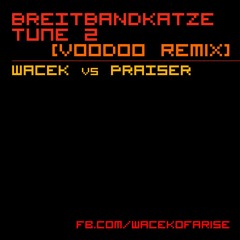 Wacek vs Praiser - Breitbandkatze Tune 2 [Voodoo Remix]