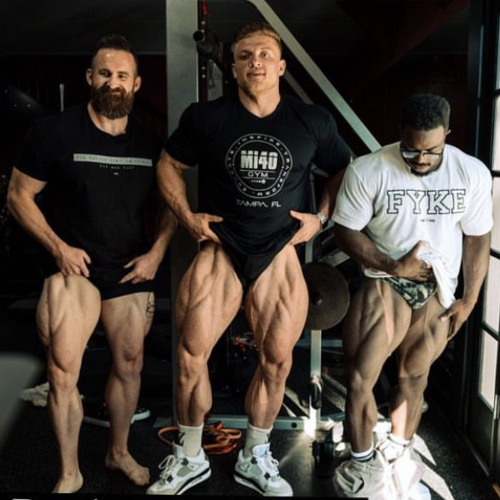 Chirok471 16 Crackbars