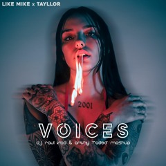 Like Mike, Tayllor - Voices (Dj Raul Vlad & Arthy 'Faded' Mashup Edit)