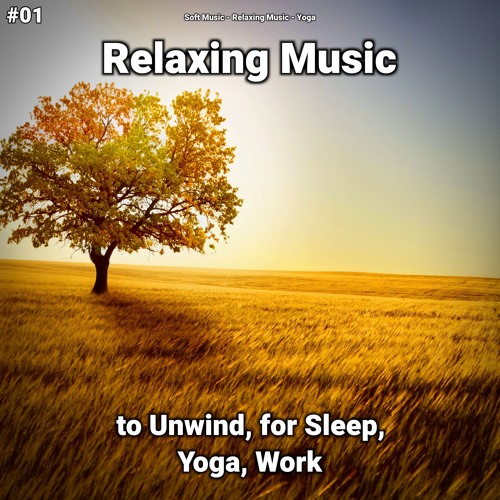 Soft Music Listen
