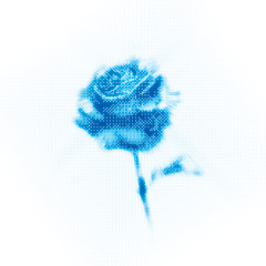 When The War Is Over