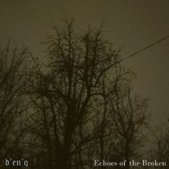 Echoes of the Broken