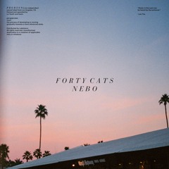 Forty Cats - Sunrise Fog