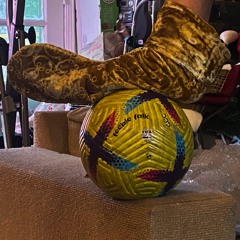 The grass withereth, the flower fadeth: but the word of our God shall stand for ever.