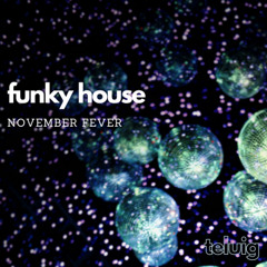 NOVEMBER FEVER - Funky House