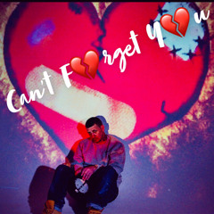 Can't Forget You