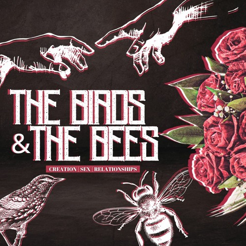 Battle For The Sexes | The Birds & The Bees Pt. 4