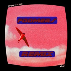 Fliegen Lernen - Moni (Foomers Remix)