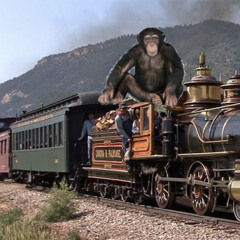 CHIMP TRAIN
