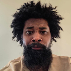 DANNY BROWN - I WILL [mvv remix]