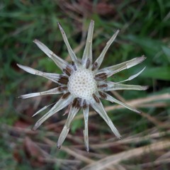 (Pas) moyens de se dire au revoir
