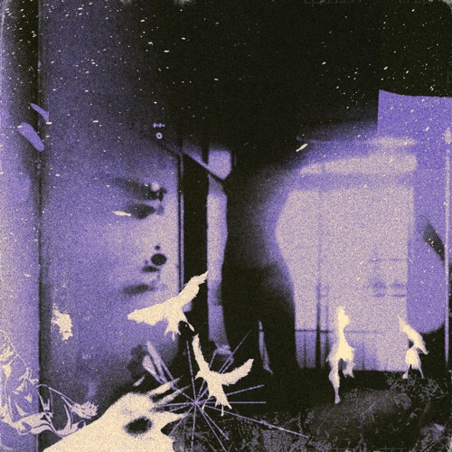 ✘O✘V✘T - Vivid (dyzphoria dbfontaine)