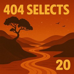 404 Selects #20
