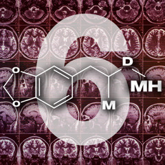 MDMH VOL. 6