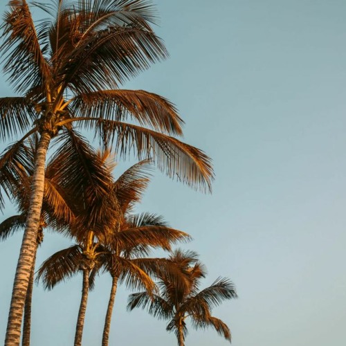 Condominiums loading background (FREE DOWNLOAD)