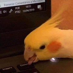 ,,,