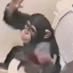 Monkey In My Bathroom (Club Remix)