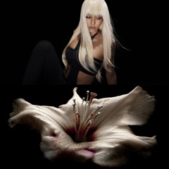 ALISHA — знаю тебя