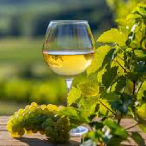 White Wines from Around the World