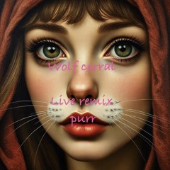 PURRR remix live wolfcorral.mp3