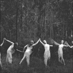 witches dancing around my Swamp