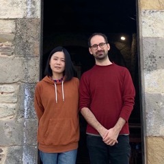 Sonate für zwei Querflöten oder zwei violinen, D-Dur