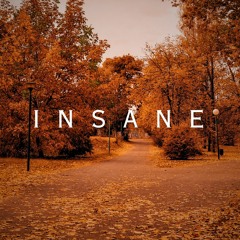 INSANE {COMPLETION OF OUR BEATS}