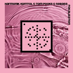 Harmonik Kontrol, Tom Pooks & Sebass - "Fokalisation" (20 Years Systematic)
