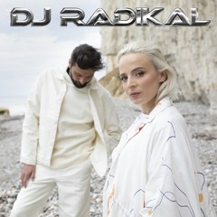 Faudrait pas-Remixed by Dj Radikal