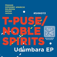 4.T-Puse & Noble Spirits - Nyree (Frahan Remix)