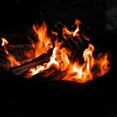 pLASMe, Bosbe - Fuego En Barras