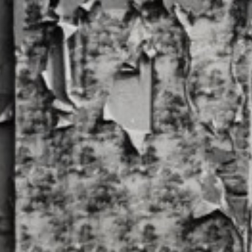 Mode in gliany - EnoGat-