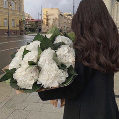 ياقلبي الحسُاس