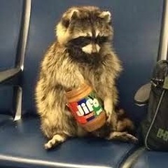 Von 9bis9 dröhnt mir der Schädel