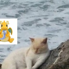 tg stupid song (2019)