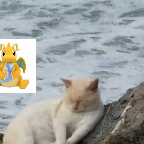 tg stupid song (2019)