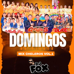 DJFOX - MIX CHELEROS VOL1 (2025)