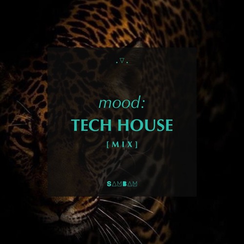 TECH HOUSE MIX