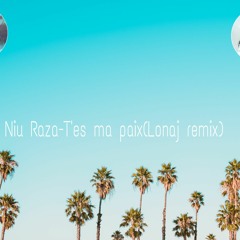 Niu Raza - T'es Ma Paix(Lonaj Remix)