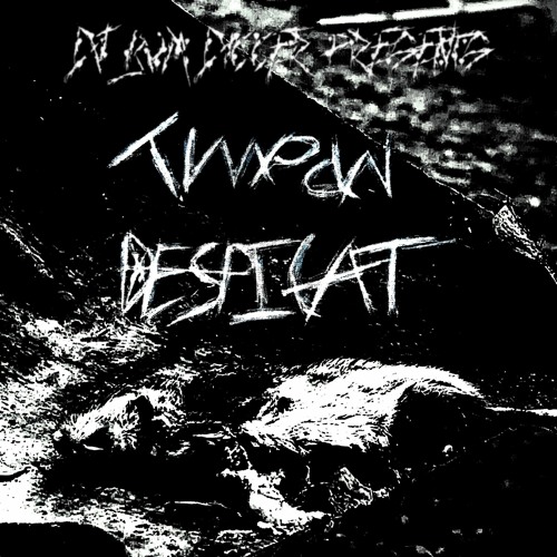 Timpan Despicat