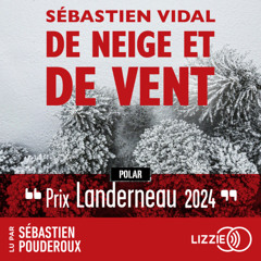 De neige et de vent de Sébastien Vidal lu par Sébastien Pouderoux